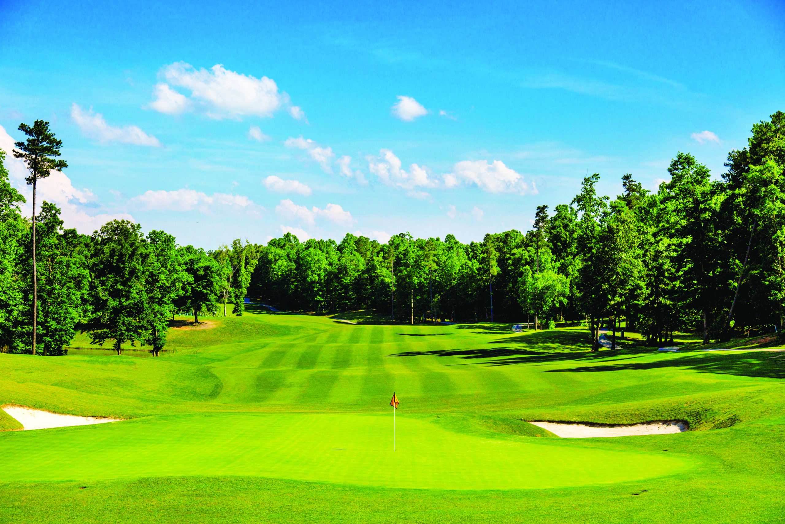 golf course wYellow flag